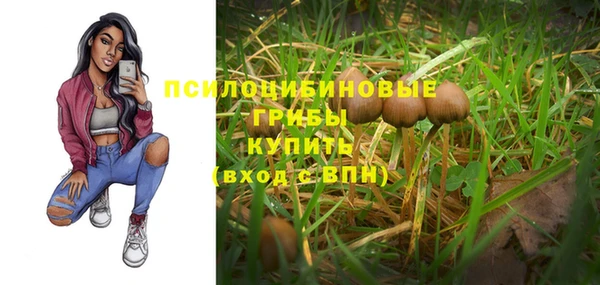 не бодяженный Нефтегорск