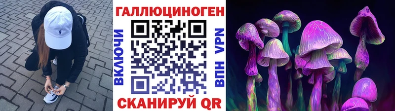 где продают наркотики  Катав-Ивановск  Псилоцибиновые грибы Psilocybine cubensis 
